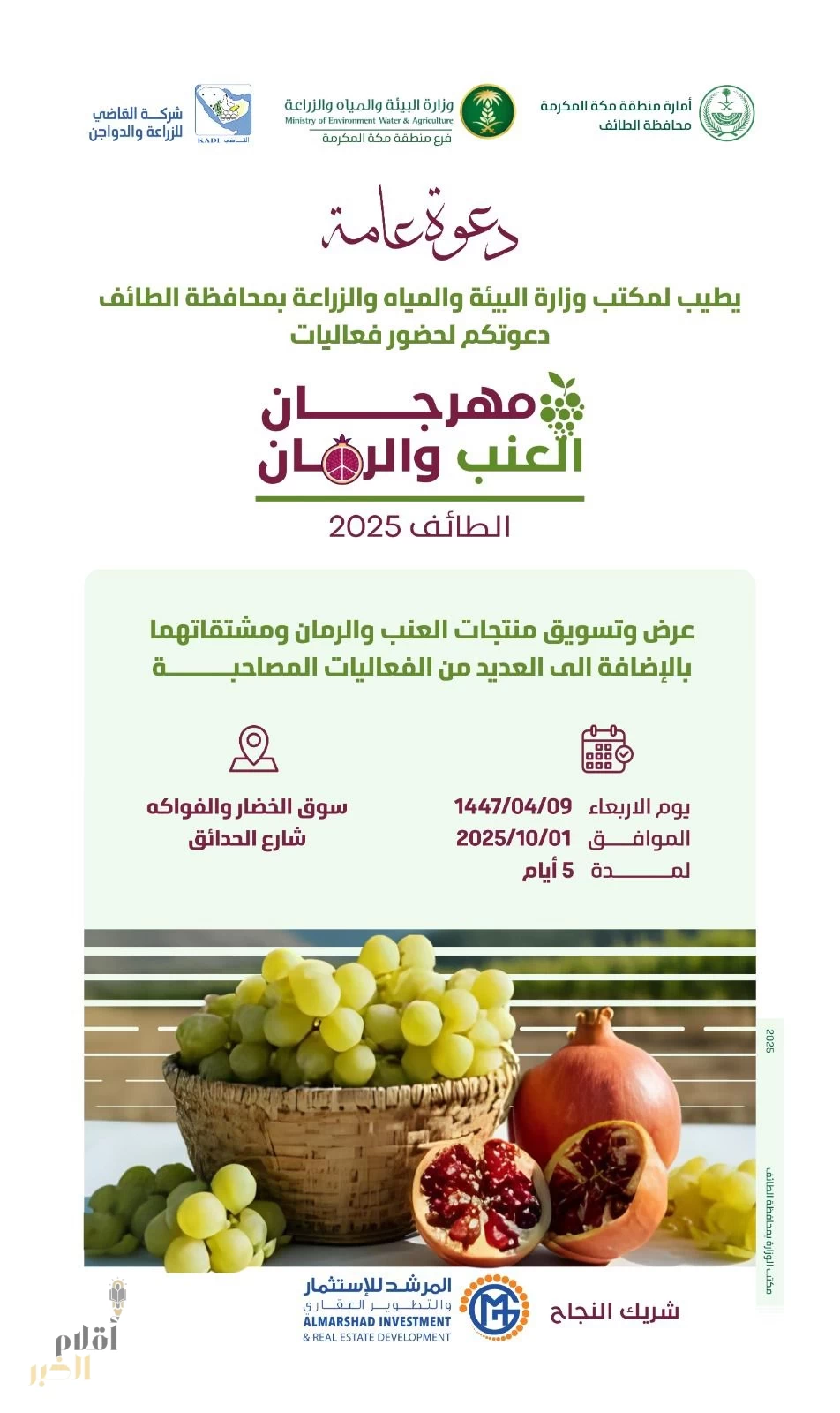 بيئة الطائف تطلق مهرجان العنب والرمان الثقافي مطلع أكتوبر