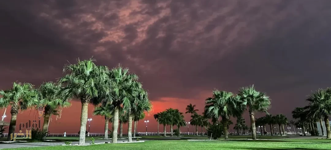 جازان "الطبيعة والرؤية".. تناغمٌ يُشكِّل ملامح التنمية المستدامة