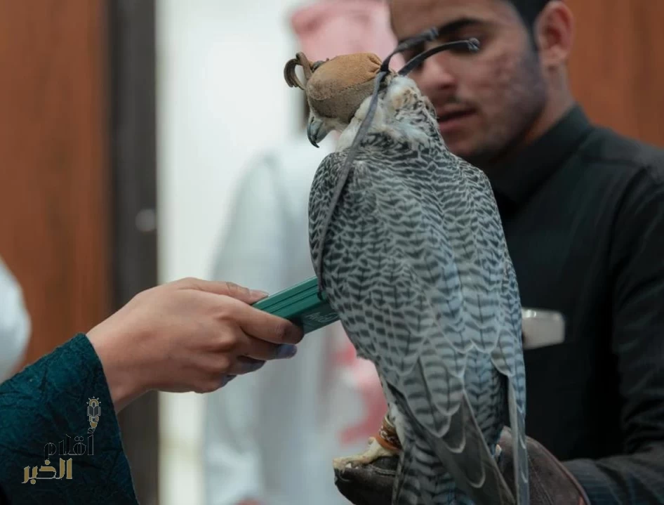 نادي الصقور السعودي يُطلق جولاته الميدانية لتقديم خدمة تصحيح أوضاع الصقور في 8 مدن
