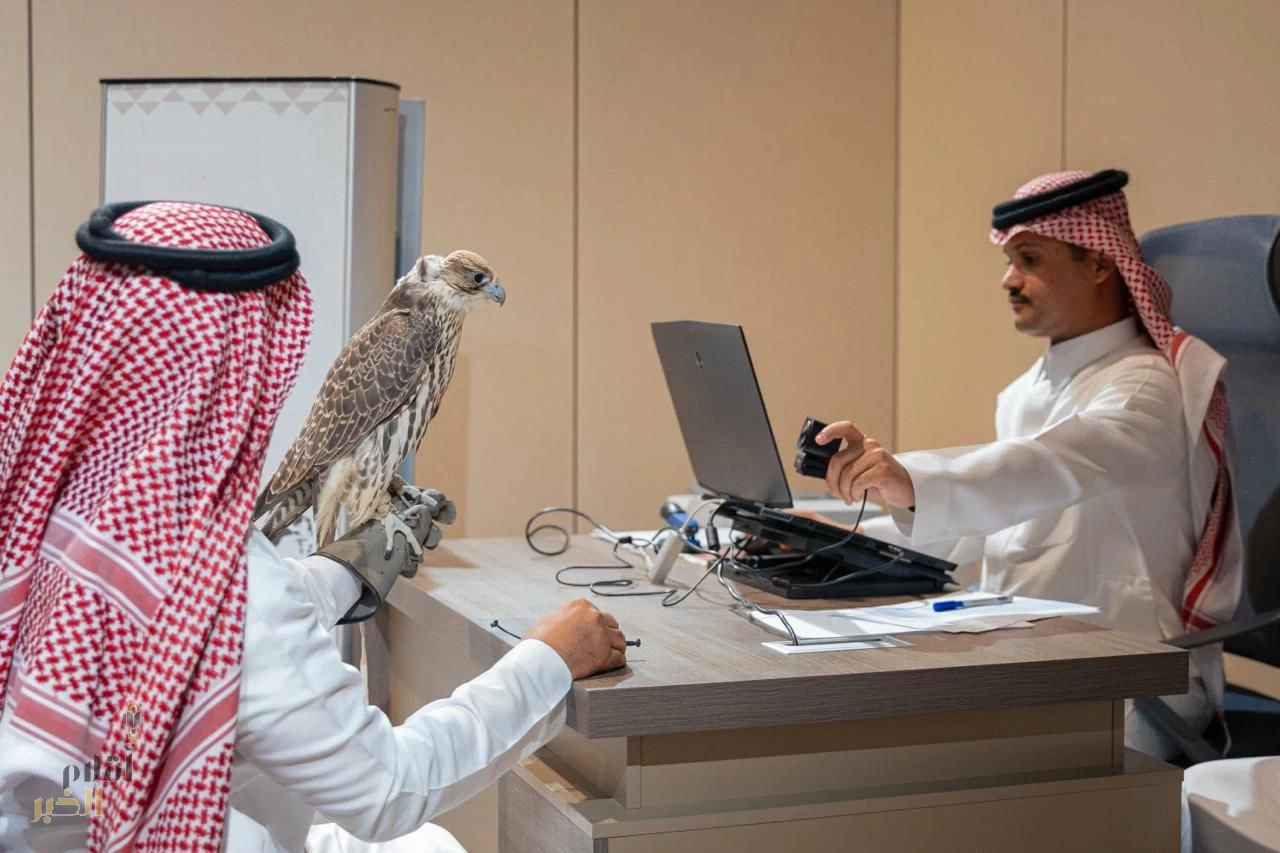 بدء تسجيل الراغبين في المشاركة بمنافسات كأس نادي الصقور السعودي 