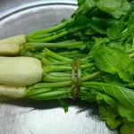 الفجل الأبيض.. كنز غذائي بسيط يكشف عن فوائده في تعزيز صحة الجسم 