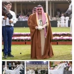 اختتام عرض جمال الخيل العربية الأصيلة الدولي