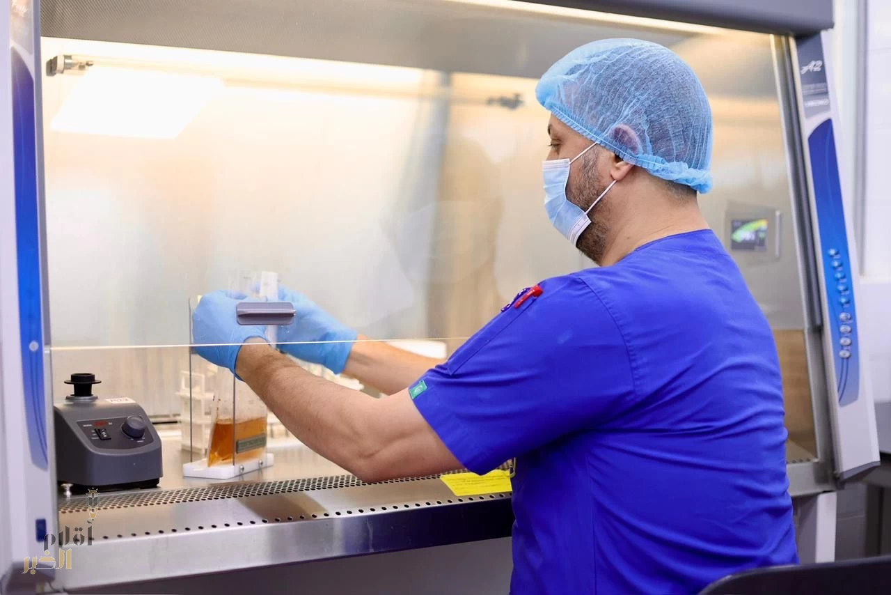 أمانة القصيم تصادر 373 كيلو من المواد الغذائية الفاسدة خلال الربع الأخير للعام 2025م بمحافظة الرس