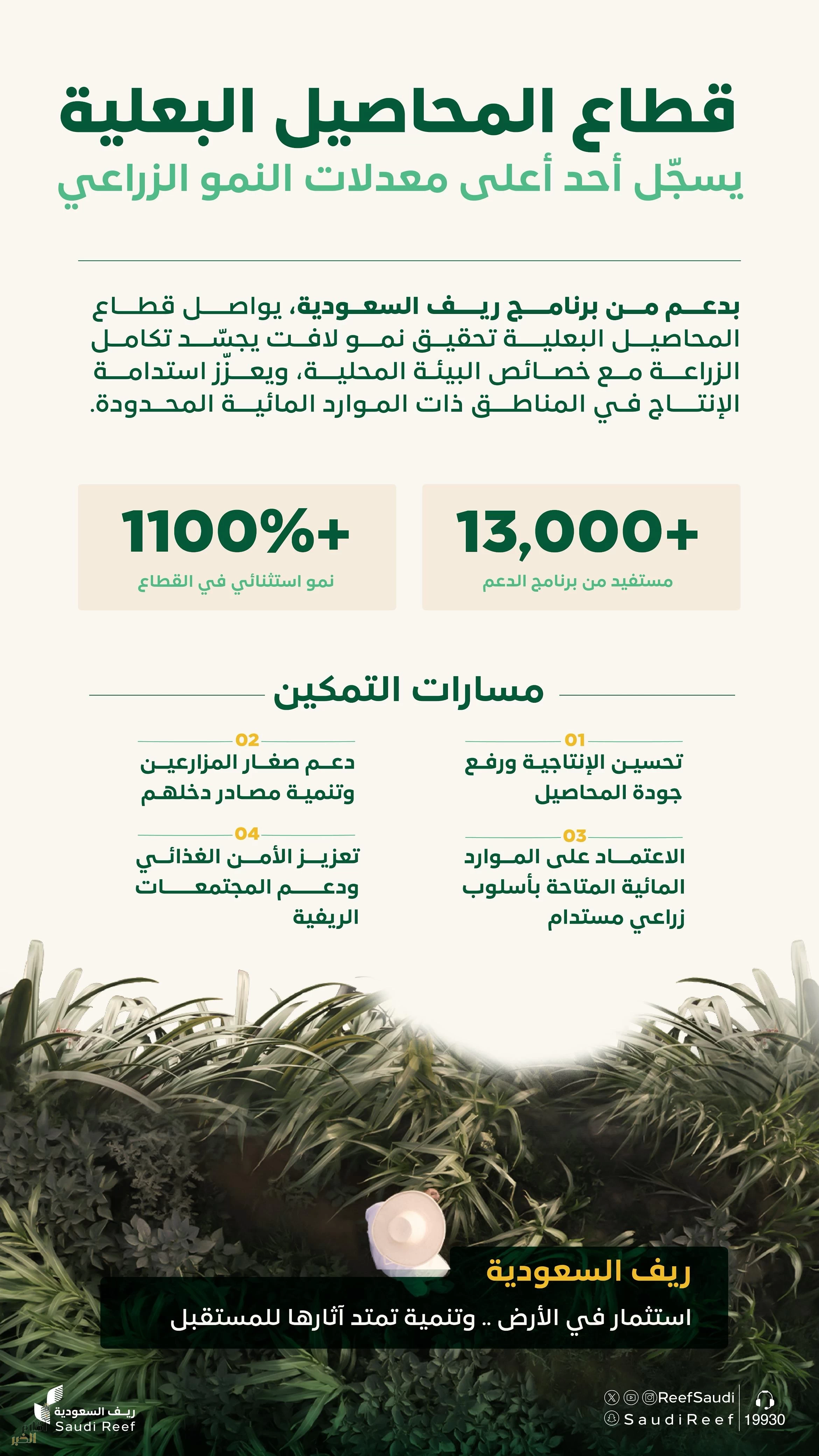 "ريف السعودية": نمو قياسي لقطاع المحاصيل البعلية بـأكثر من %1100 وعدد المستفيدين يتجاوز 13 ألف مستفيد