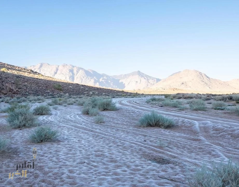 تكوّن الصقيع فجر اليوم شمال غرب تبوك