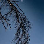 رصد التربيع الأخير لقمر شهر شعبان في سماء الحدود الشمالية