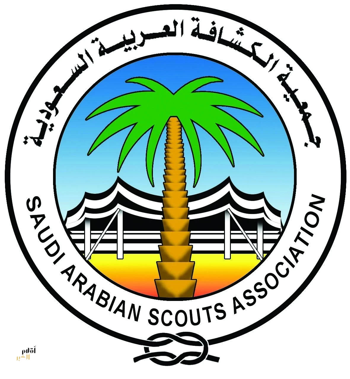 جمعية الكشافة تطلق البرنامج الكشفي لحماية البيئة الأربعاء المقبل بالرياض