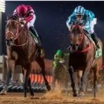 كأس السعودية 2026: رياضة النبلاء تجذب أنظار العالم نحو المملكة