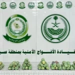 دوريات الأفواج الأمنية بمنطقة عسير تقبض على شخص لترويجه 13 كلجم من القات المخدر
