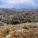 الباحة تشهد حالة مطرية غزيرة يكسو خلالها البَرَد شوارعها ومرتفعاتها