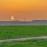 الغطاء النباتي يكسو مراعي "نواظر" في منطقة الحدود الشمالية ويجذب مربي الماشية