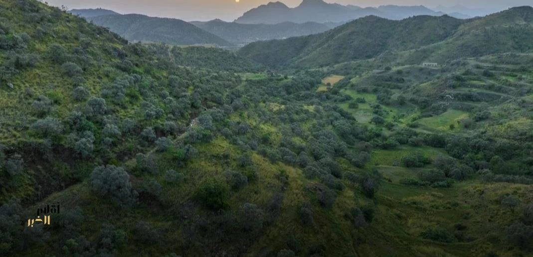 انطلاق فعاليات أسبوع البيئة السعودي 2026 في مايو المقبل