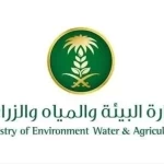 وفرة وتنوع في المنتجات البحرية بسوق الأسماك بالمدينة المنورة