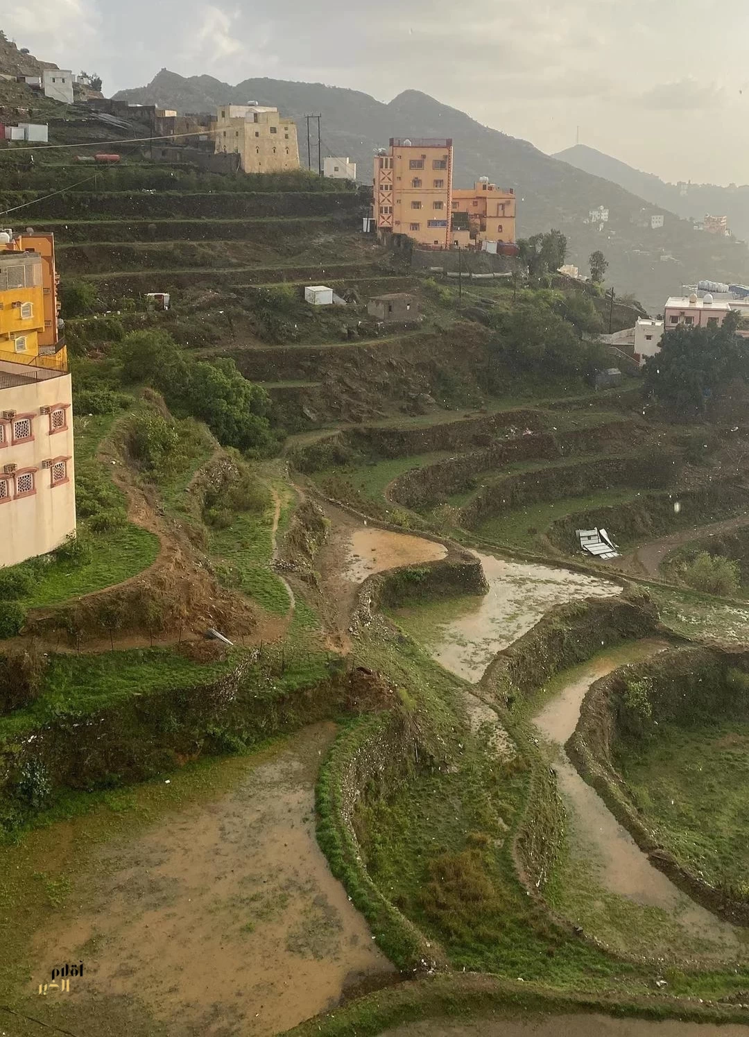 أمطار بين غزيرة ومتوسطة على منطقة جازان