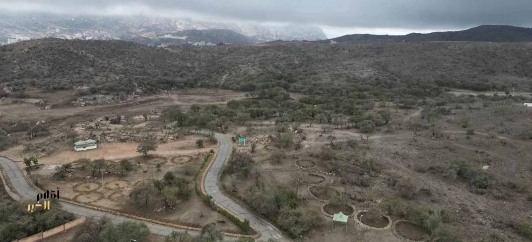 "الغطاء النباتي" يطرح فرصًا استثمارية بمساحة تتجاوز 3 ملايين متر مربع لتعزيز السياحة البيئية بالباحة