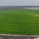 في اليوم العالمي للأرض.. جازان تؤكد استدامة مواردها وتنوعها البيئي