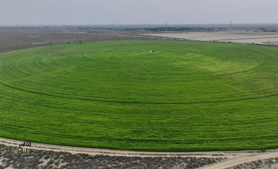 في اليوم العالمي للأرض.. جازان تؤكد استدامة مواردها وتنوعها البيئي