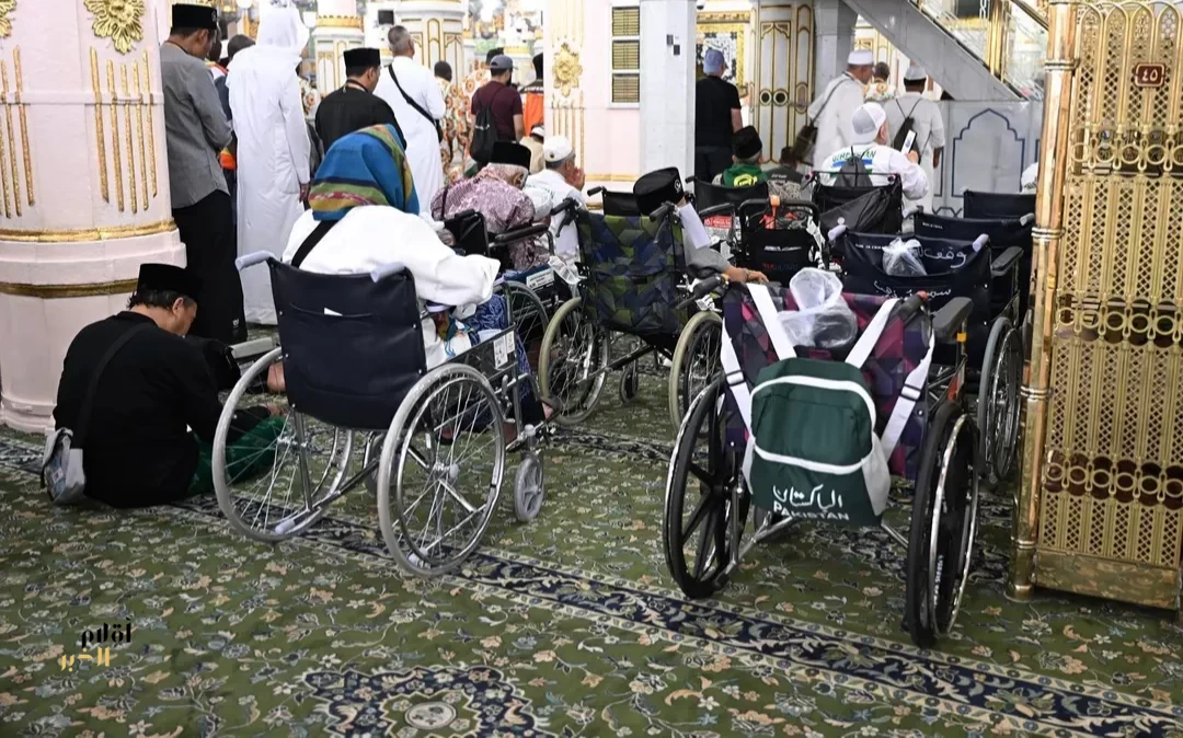 أكثر من 8 آلاف مستفيد يوميًا من خدمة التنقل في المسجد النبوي