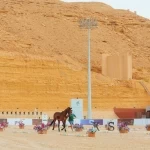 الاتحاد السعودي للفروسية والبولو ينظم نهائي دوري قفز الحواجز بالرياض بمشاركة 168 فارساً وفارسة