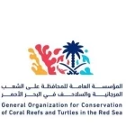 المملكة ترأس الاجتماع الـ39 للمبادرة الدولية للشعب المرجانية واعتماد خمس توصيات لتعزيز حضورها عالميًا