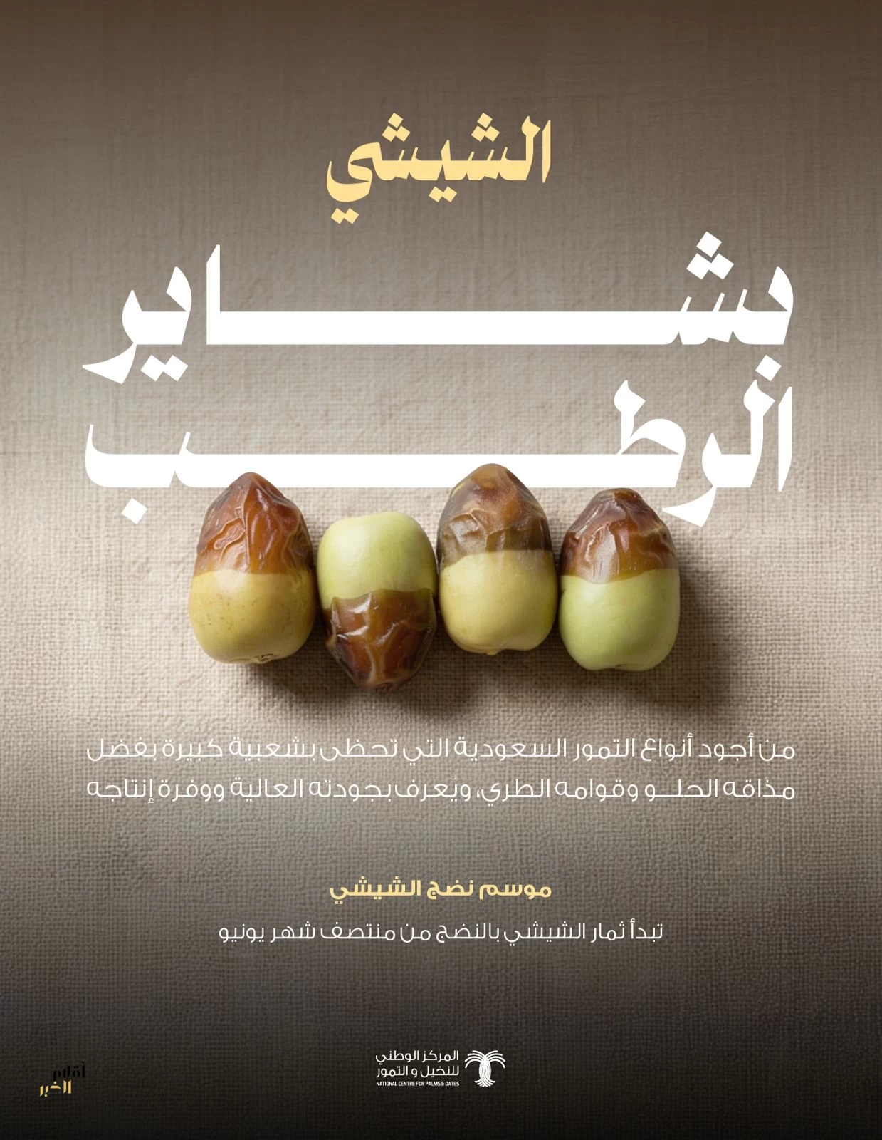 "النخيل والتمور": إقبال واسع من المستهلكين على رطب الشيشي مع باكورة حصاده في موسم بشاير الرطب