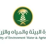 بيئة مكة المكرمة تطرح فرصًا استثماريّة متنوعة عبر منصة «فرص» لتعزيز التنميّة المستدامة