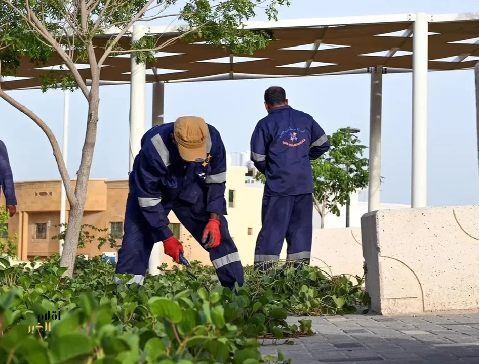 أمانة الشرقية تؤهل أكثر من 334 ألف م2 من المسطحات الخضراء وترفع جاهزية 77 ملعبًا للأطفال