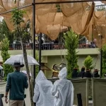 أمطار الباحة.. مشاهد صيفية تأسر الزوار بين الغيم والطبيعة