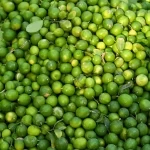 اللومي الحساوي.. موروث زراعي يعزز حضوره في الأسواق المحلية والخليجية