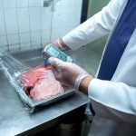 أمانة تبوك تعزز سلامة الغذاء بأكثر من 14 ألف اختبار وتحليل مخبري خلال النصف الأول من 2026