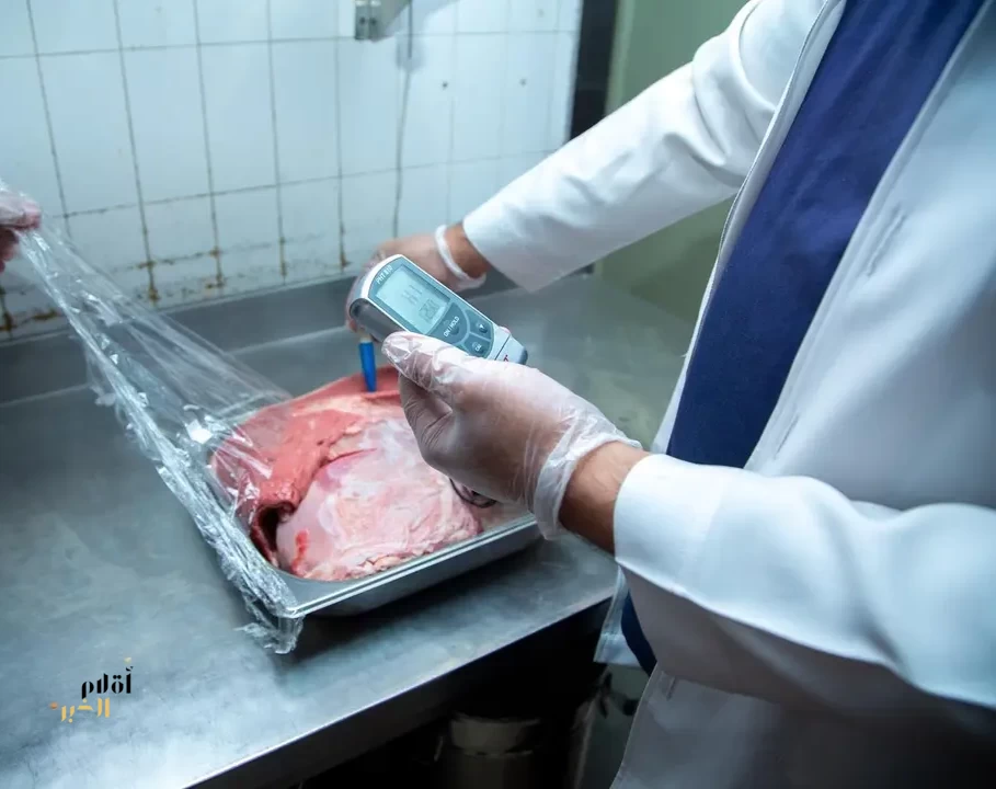 أمانة تبوك تعزز سلامة الغذاء بأكثر من 14 ألف اختبار وتحليل مخبري خلال النصف الأول من 2026