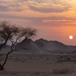 محمية الأمير محمد بن سلمان الملكية.. من هامش الصورة إلى قلب القصة