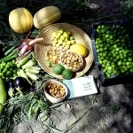 "واحة الأحساء" تبسط سلالها الغذائية الصيفية في الأسواق