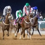 الطائف تشتعل بالفروسية.. 22 شوطًا وجوائز بـ1.7 مليون ريال في ميدان الملك خالد.