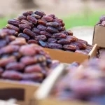 انطلاق النسخة السابعة من موسم العلا للتمور الأسبوع المقبل ضمن موسم "خيرات العلا"