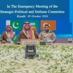 صدور بيان مشترك عن الاجتماع الطارئ للجنة الإستراتيجية السياسية والدفاعية لحلف مكة الدفاعي