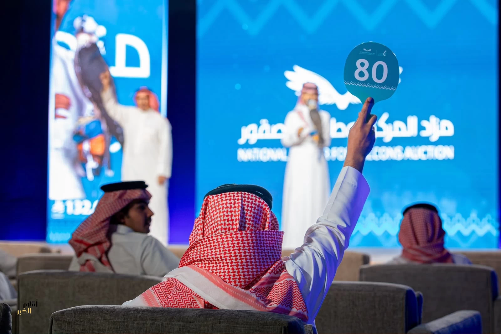 بيع صقرين بـ291 ألف ريال في مزاد المركز الوطني للصقور 2026
