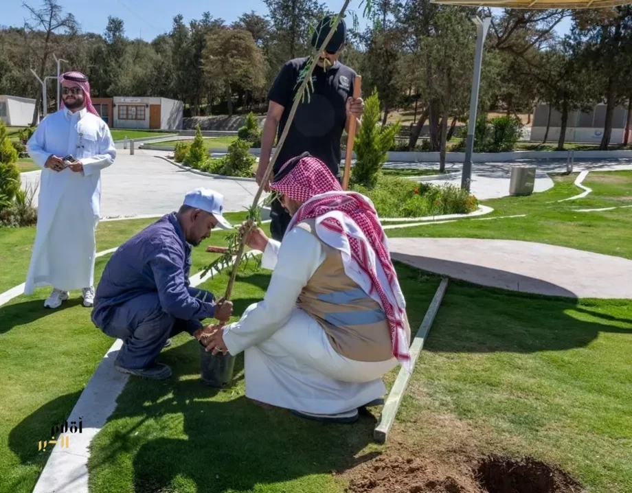 زراعة أكثر من مليون شجرة في مدينة الباحة والمحافظات التابعة لها