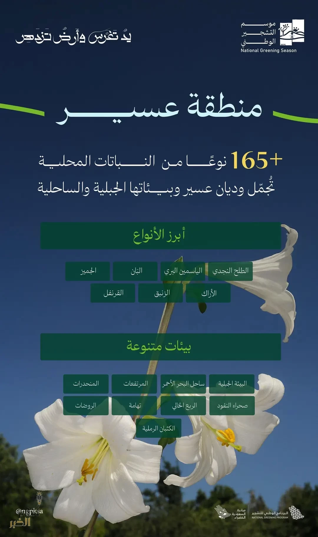 البرنامج الوطني للتشجير: بيئات عسير الجبلية والساحلية تزدهر بأكثر من 165 نوعًا من النباتات المحلية