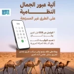 "هيئة الطرق" توصي مُلَّاك الإبل بتنسيق عبور الطرق غير المسيجة عبر مركز الاتصال 938