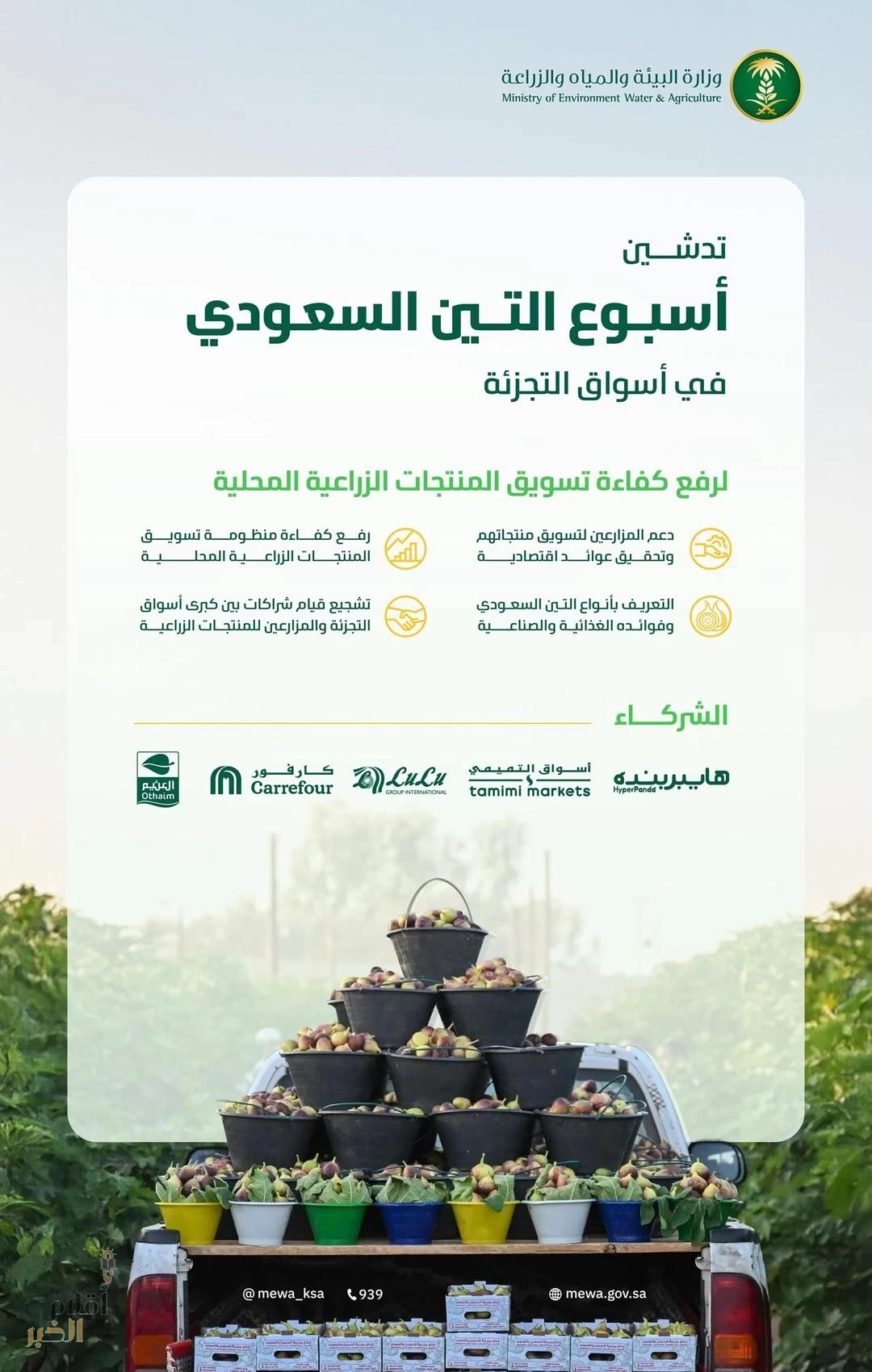 "البيئة" تدشّن أسبوع التين السعودي في أسواق التجزئة دعمًا للمنتجات الزراعية المحلية
