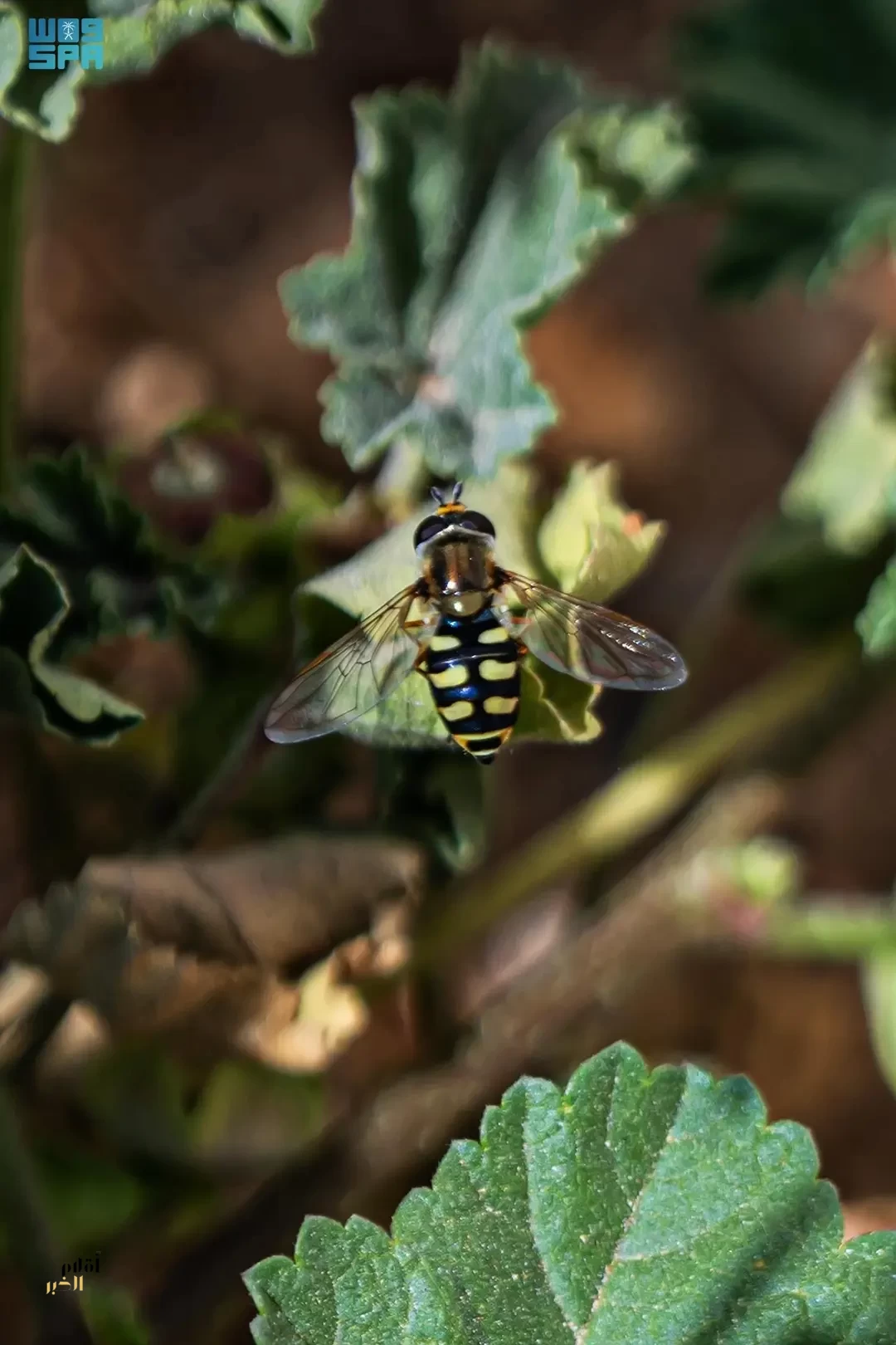 X8GVWGzZkFTZgTckLiLfAJ2dEVqmKjfiyOvtRJ5j