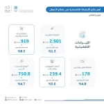 "الإحصاء": تنشر إحصاءات الأنشطة الاقتصادية في قطاع الأعمال لعام 2024