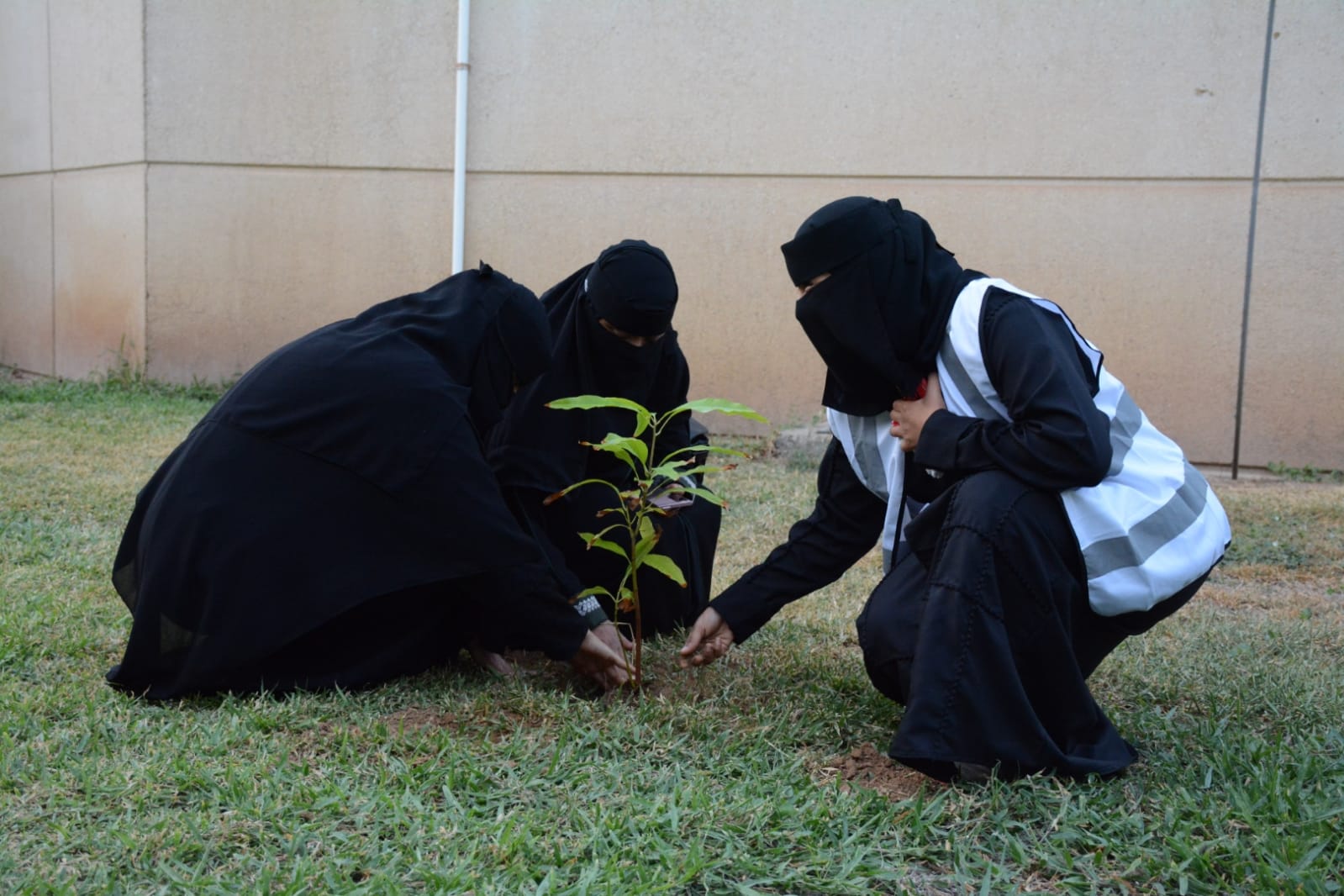 199585F5-7DFE-490C-ACD5-1C0E8280CB03