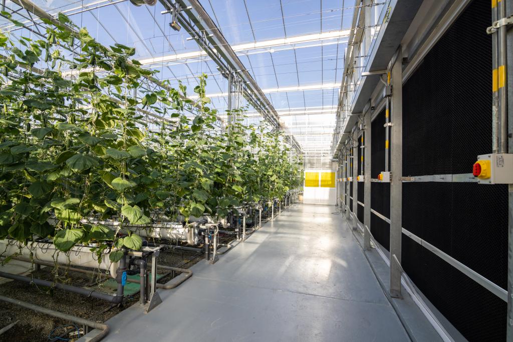 30F6EA93-4355-42F0-BC16-089F06D986C0