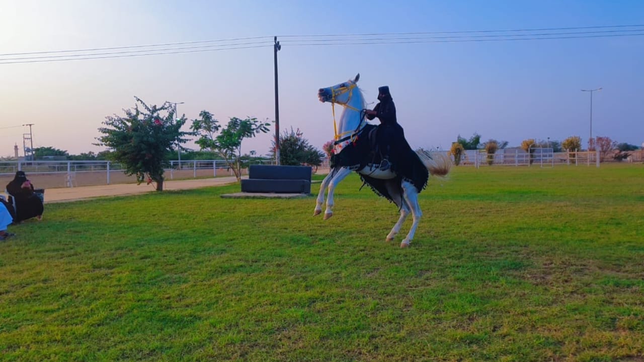 *مربط مُهاب يتصدر شتاء* ٢٠٢٣