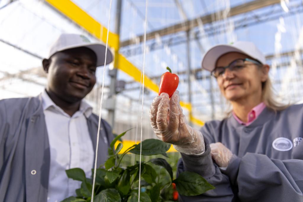 AB15D860-23CC-48F5-B554-8F018BAAF5A3