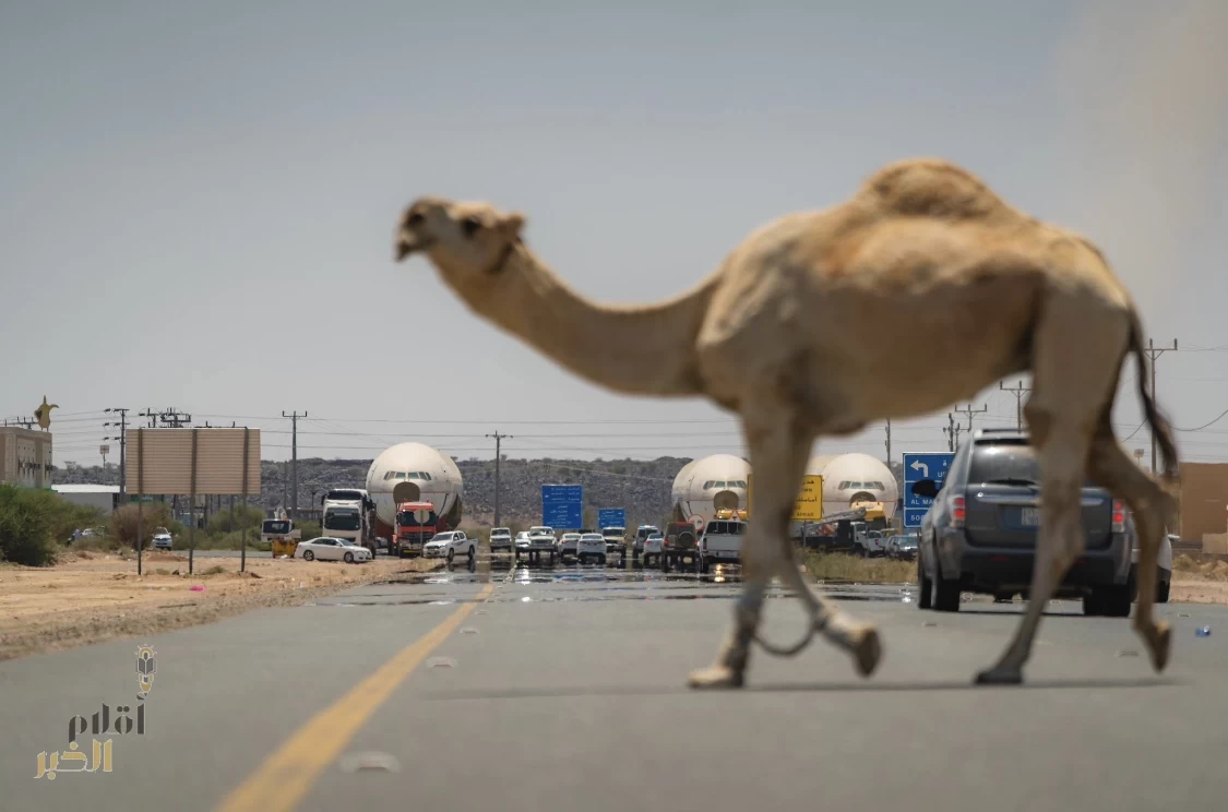 صورة لطائرات موسم الرياض