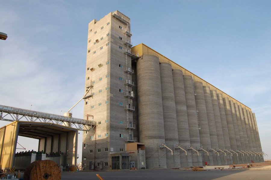 المؤسسة العامة للحبوب تبدأ بإجراءات صرف مستحقات مزارعي القمح المحلي