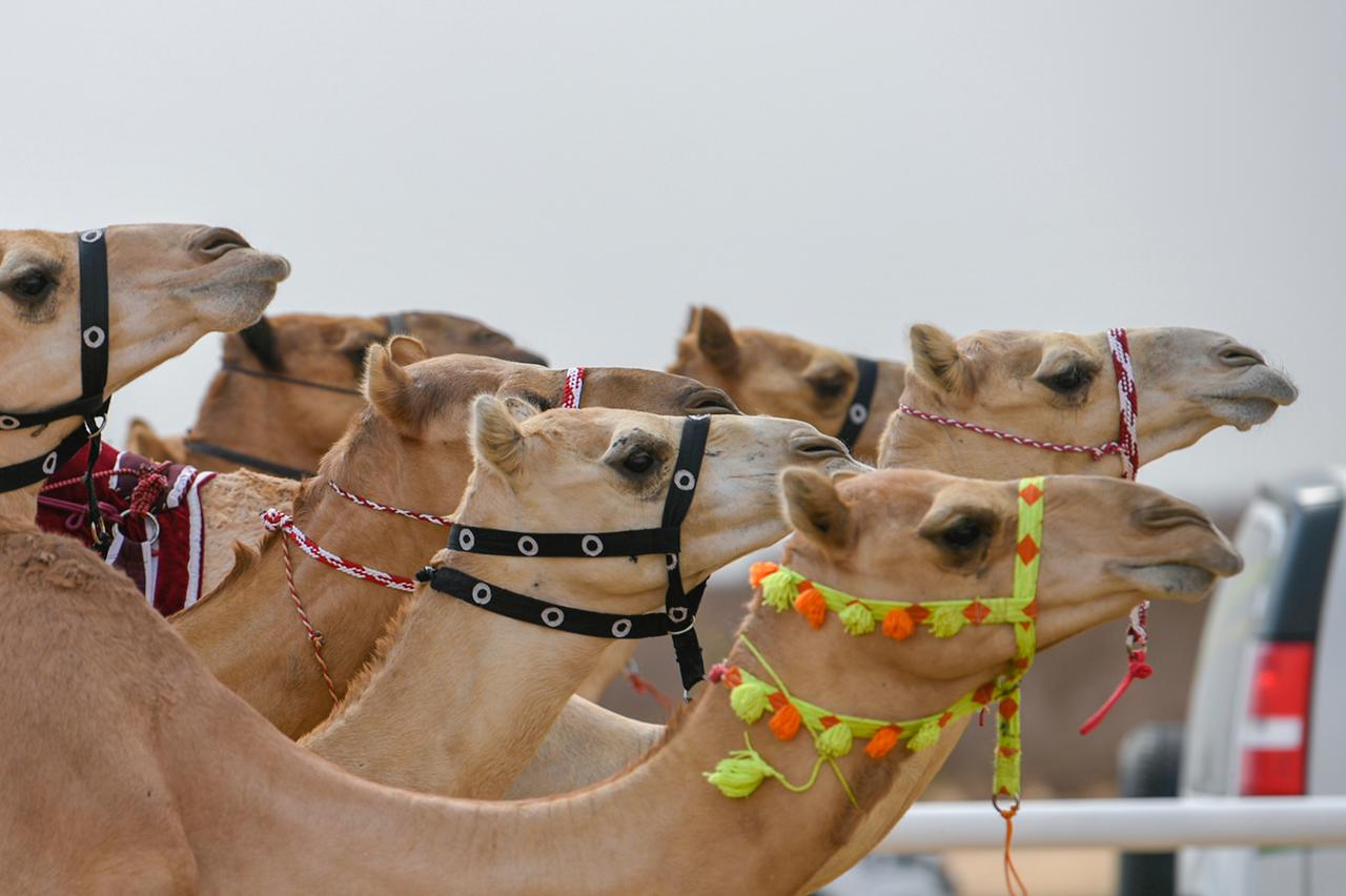 18B8DA02-7517-4FA5-9A92-7A3AECC469EE